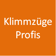 klimmzuege_profis